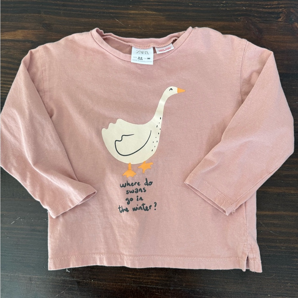Zara toddler girls long sleeve shirt